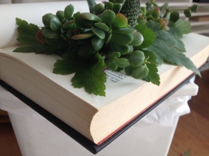 Vintage Book - Succulent Planter